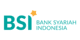 BSI logo